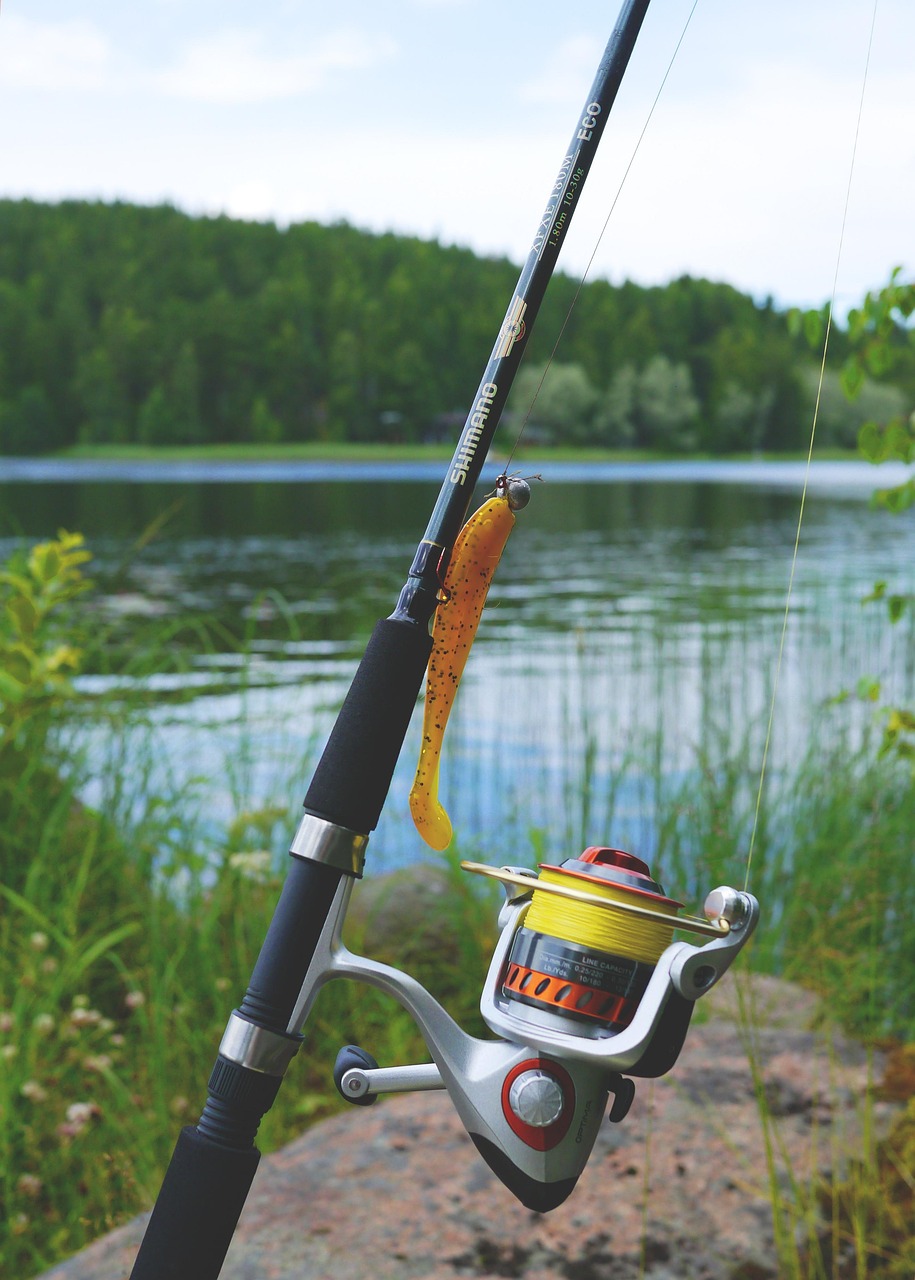fishing, fishing gear, fishing rod, fishing line, hobby, fishing reel, patience, crank, sports, quiet, telescopic rod, relax, fishing, fishing, fishing gear, fishing rod, fishing rod, fishing rod, fishing rod, fishing rod